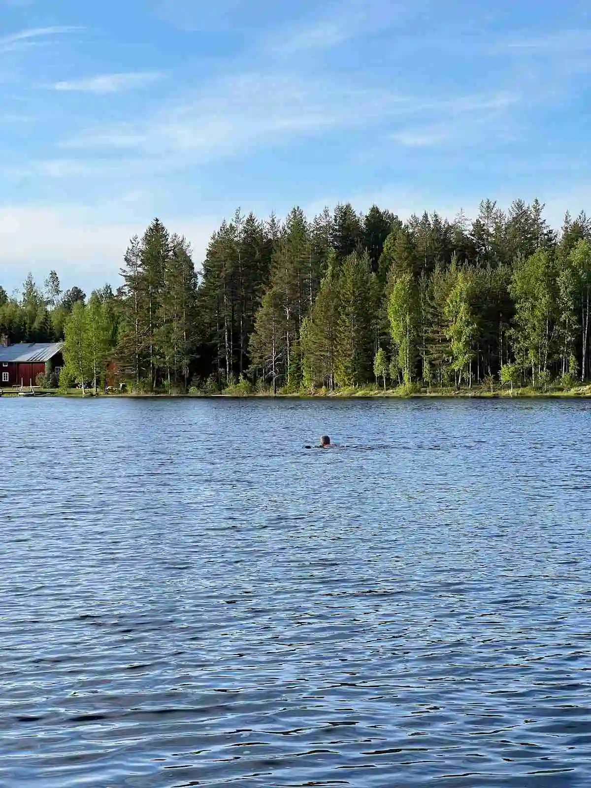 En lugn sjö omgiven av grönska vid Nya Skogsgården, med glittrande vatten och spegelblank yta som reflekterar omgivningen.