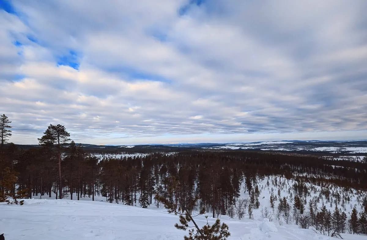 En vintrig naturmiljö med snötäckt mark och trädgrenar, under en molnig himmel vid horisonten, föreställande Lillhärdals camping.