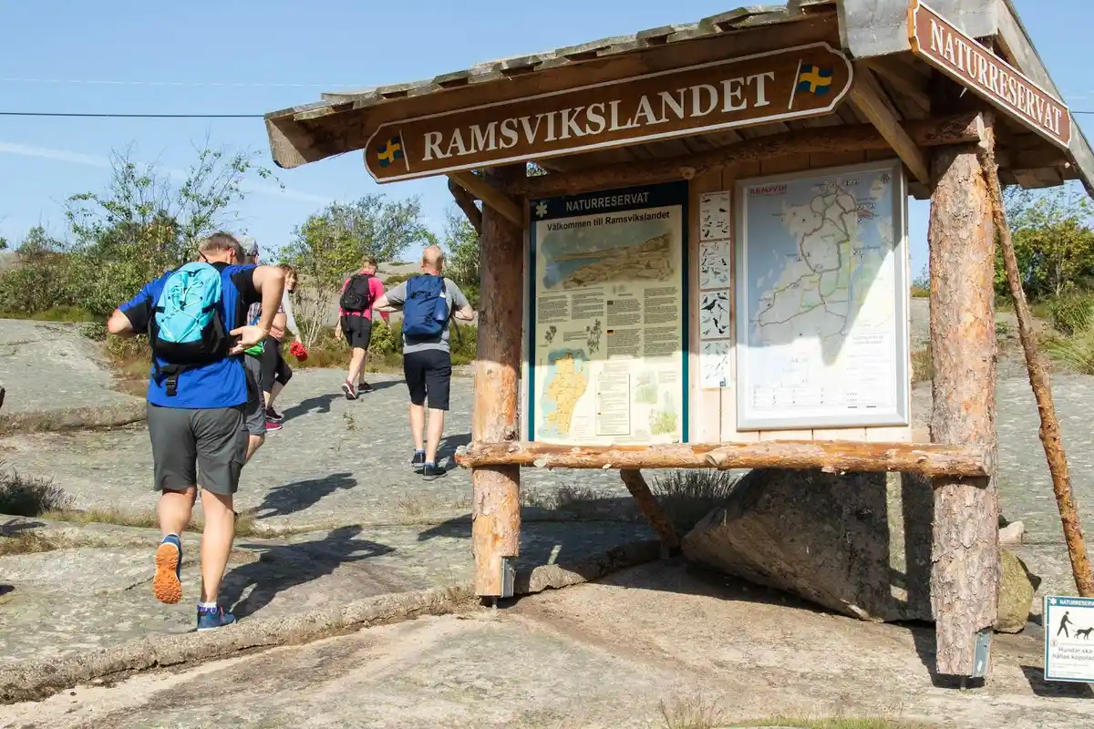 En grupp ryggsäckar står uppradade på gräs vid Ramsvik Stugby & Camping, redo för semester och äventyr.
