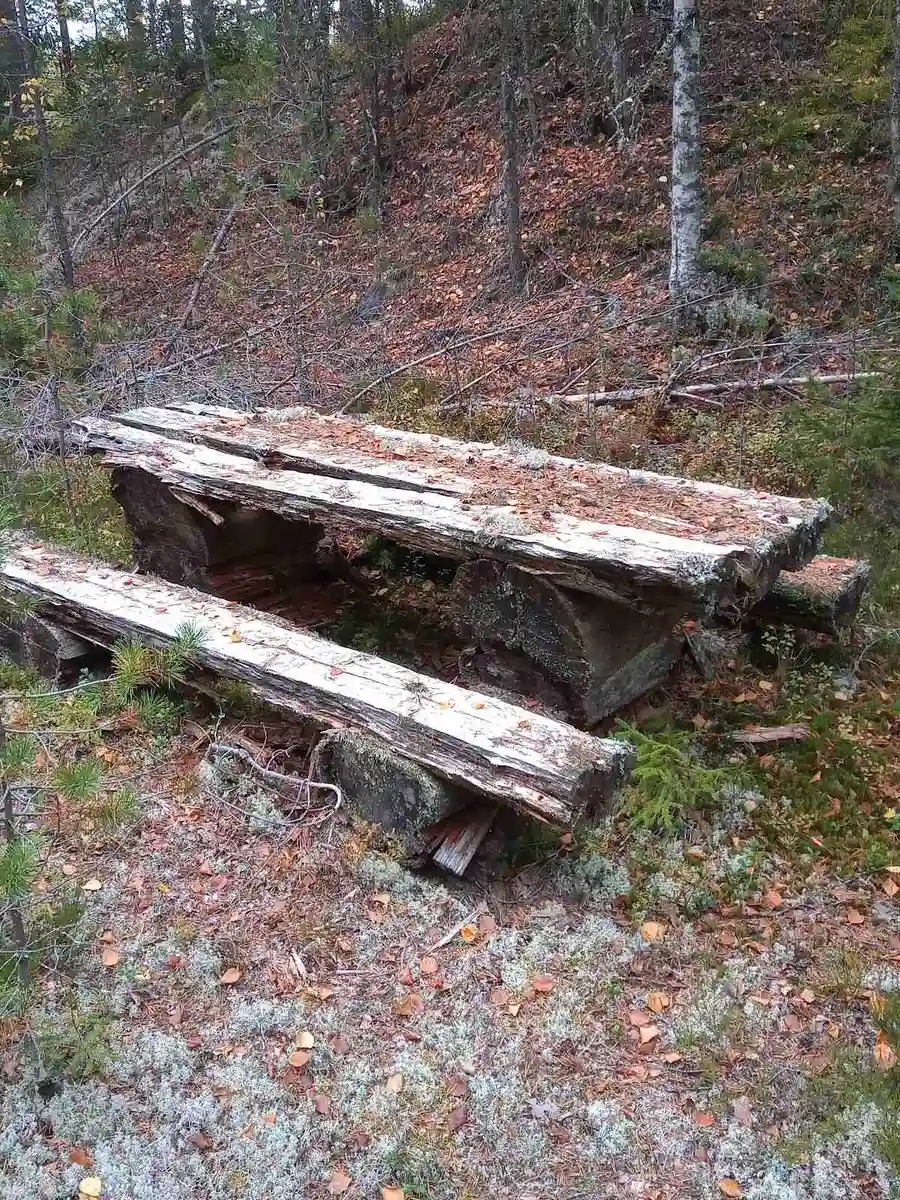 En utomhusmiljö vid Stöten camping, med en träbänk omgiven av tät skog och markväxtlighet.