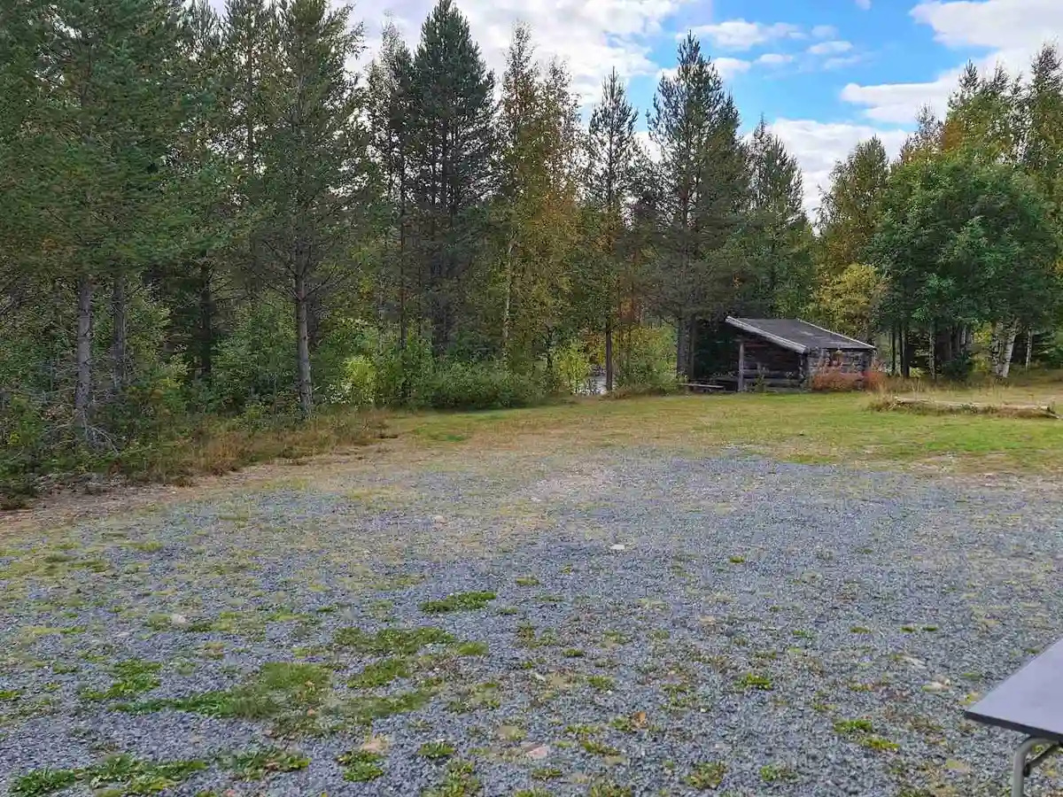 Bild av Sörälvens fiske camping & stugby med en stuga omgiven av en grönskande äng och buskar. Området har gräs och barrträd i bakgrunden.