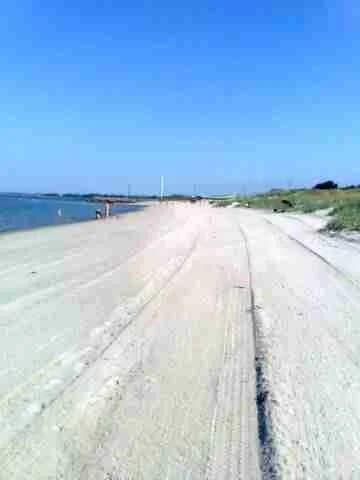 Bilden visar en solig strand med gyllene sand vid Stråvalla camping. Det klara havet sträcker sig mot horisonten, och en blå himmel breder ut sig ovanför. Det är en inbjudande plats för semester och rekreation vid kusten.