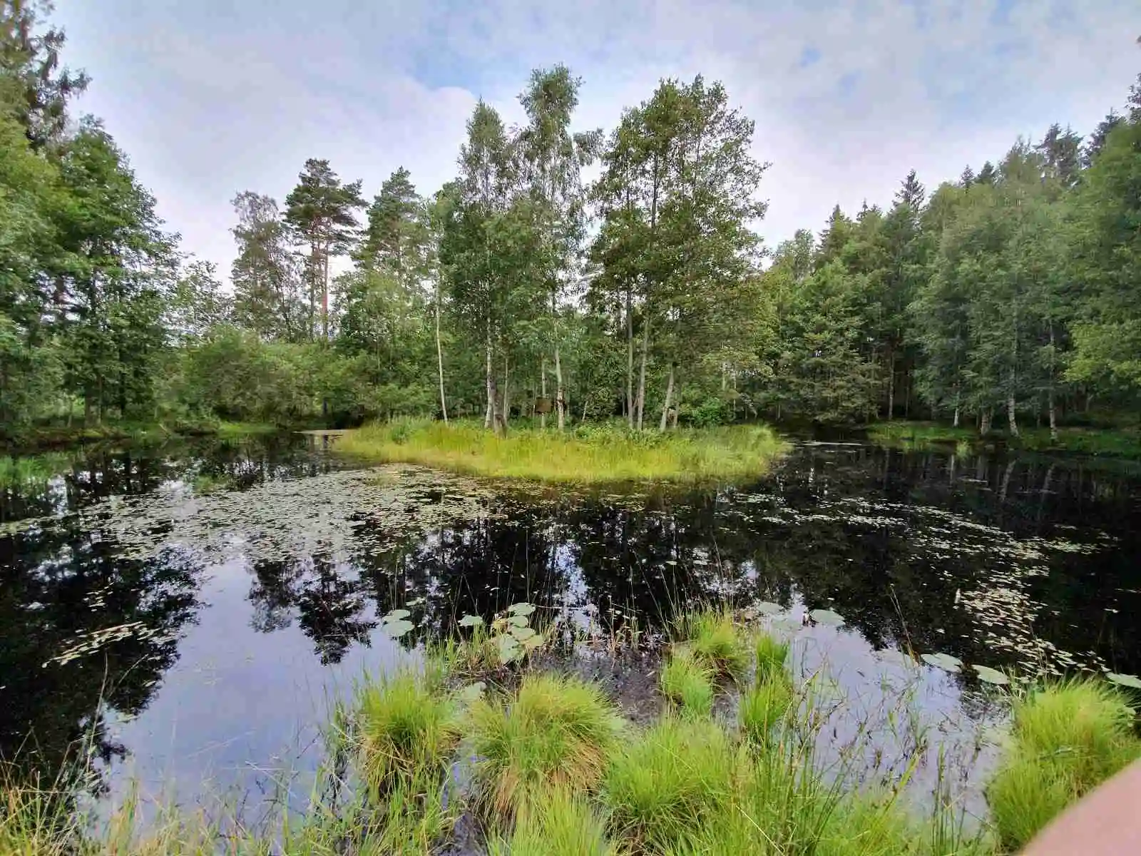 En naturskön vy över Tanums camping och stugby med en spegelblank damm omgiven av skog och våtmarker.