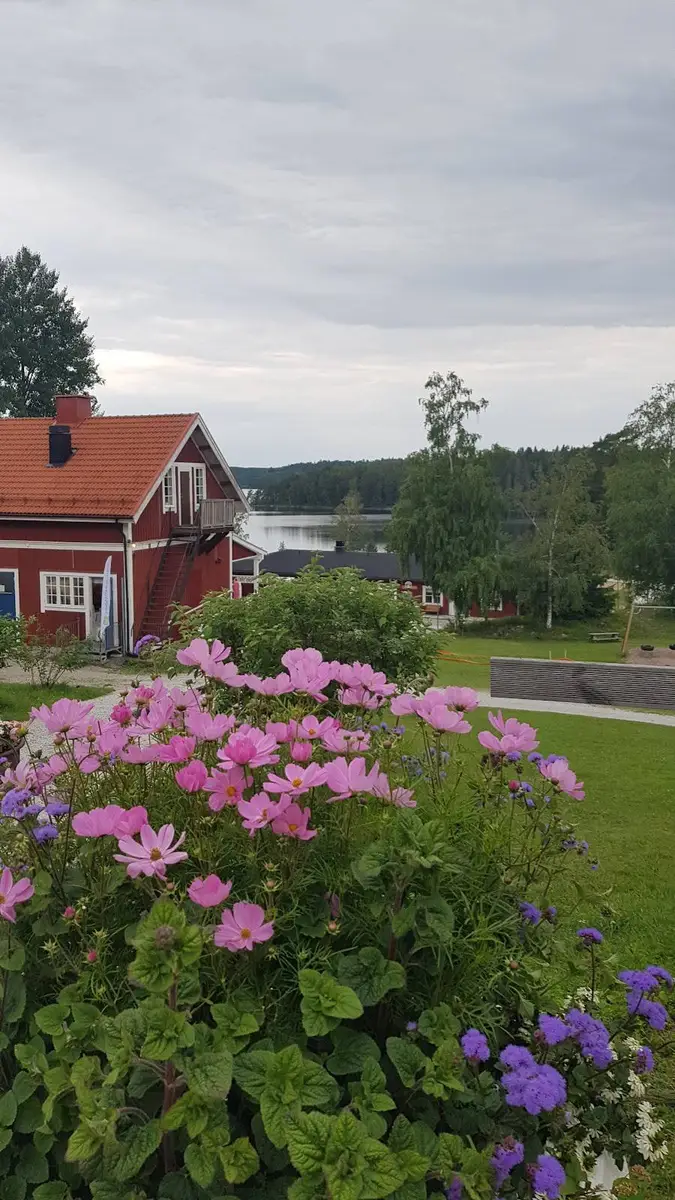 En färgglad trädgård på Uskavigårdens camping med rosa och lila blommor omgivna av grönskande buskar, vilket skapar en inbjudande och naturnära atmosfär.