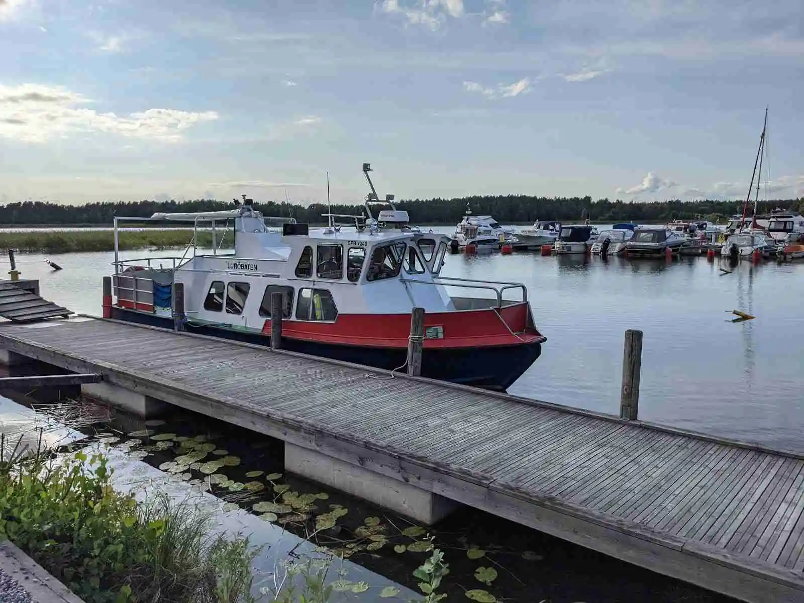 Bild av Ekenäs gästhamn och camping med flera båtar förtöjda vid bryggor i en marina. Vattnet är omgärdat av bryggor och båtar av olika storlekar, vilket skapar en livlig hamnmiljö.