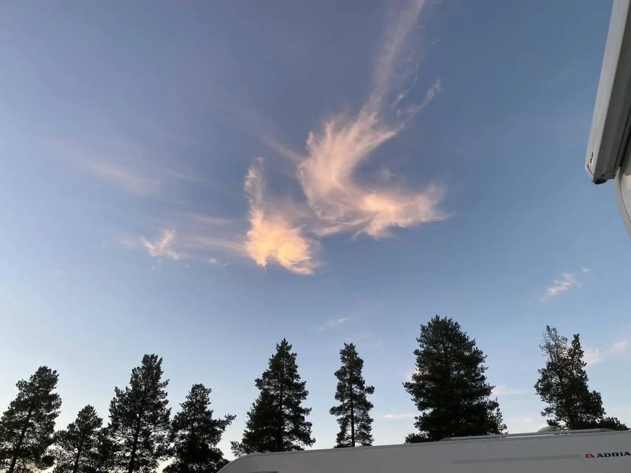 En klar himmel med vita moln över en campingplats under dagtid, omgiven av lärkträd i det mjuka morgon- eller kvällsljuset.