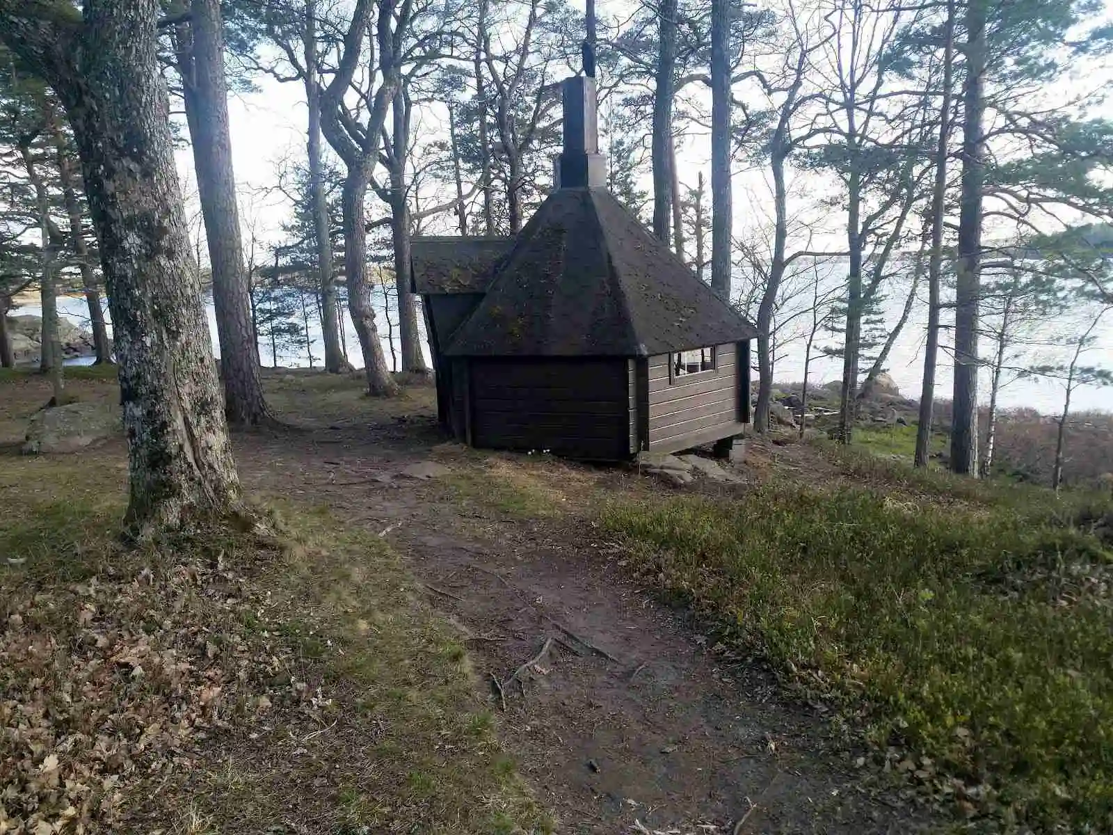 Bild av en rustik timmerstuga omgiven av grönskande skogsområde vid Kalvs familjecamping.