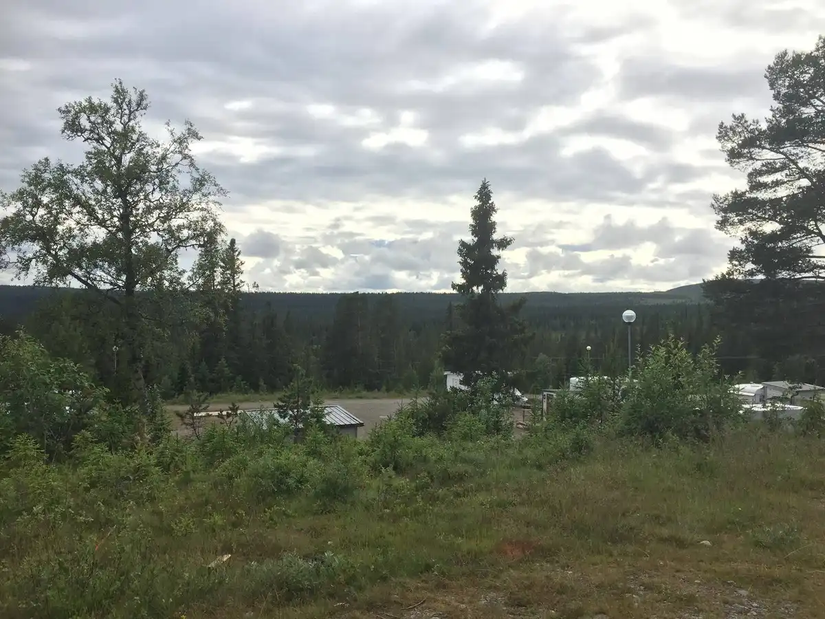 En vacker campingplats vid Idre Fjäll med grönskande ängar och ståtliga barrträd under en molnig himmel.