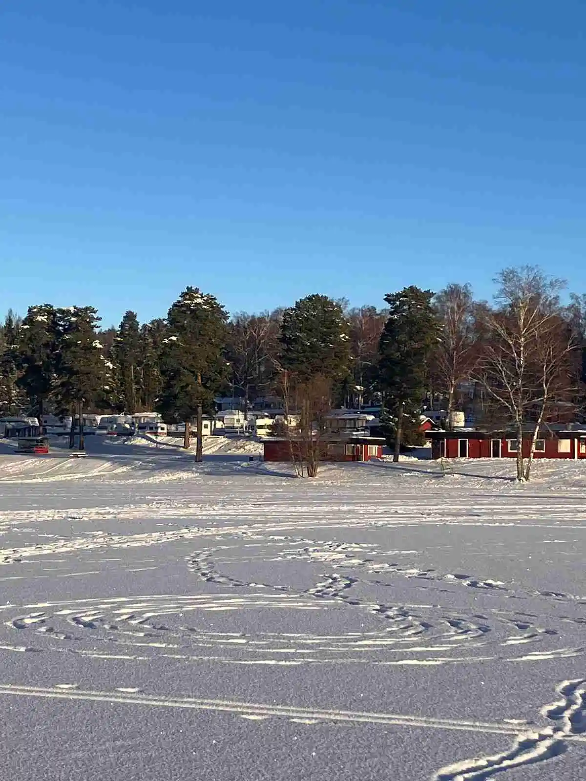 En vinterlandskap med snötäckta trädgrenar vid Bredsands bad & camping, där morgon- eller kvällssolens ljus skapar ett fridfullt sken över området.