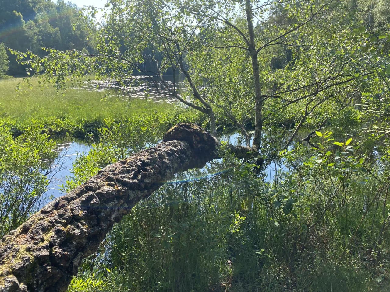 Njut av magiska solnedgångar och äventyr vid Orrefors Camping – din fridfulla tillflyktsort mitt i Glasriket!