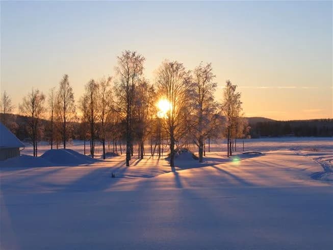 Upplev harmonin vid Piteälven - camping, stugor och aktiviteter i naturskön miljö, bara 5 km från Piteås centrum!
