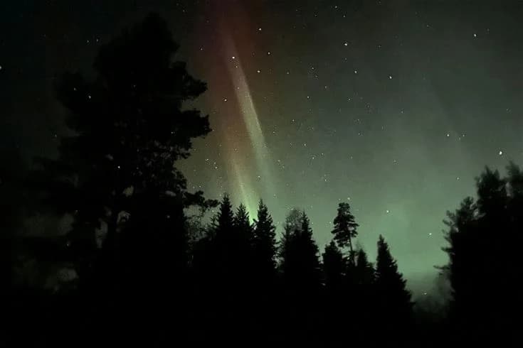 Ammeråns Fiskecamp: En rogivande tillflykt i Jämtlands vildmark för frid och äventyr året runt!