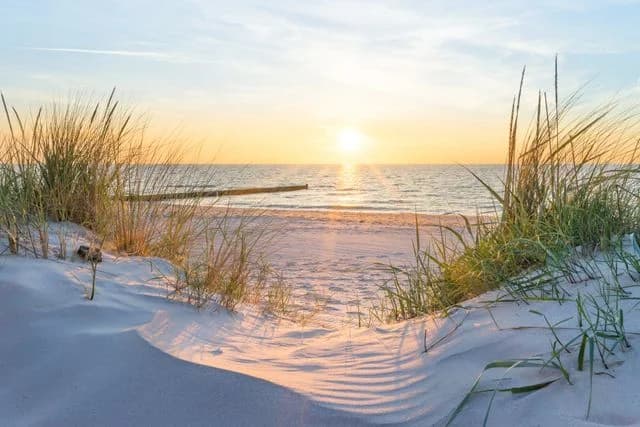 Upplev strand och skog vid Läjet Camping & Resort – avkoppling och spänning nära Varberg! Perfekt för hela familjen!