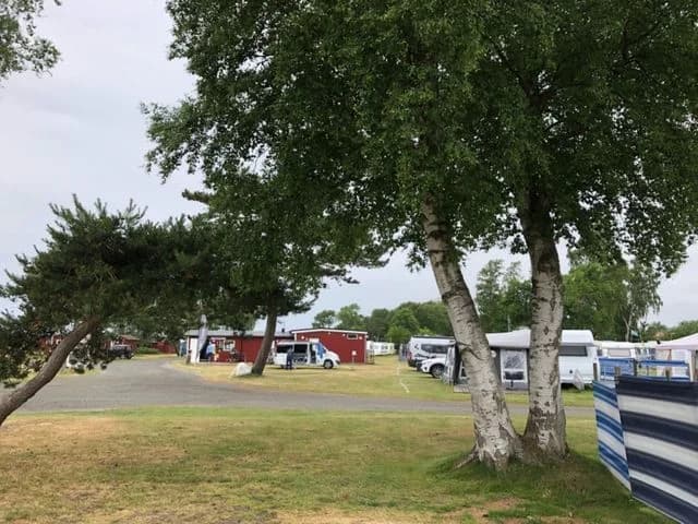 Upptäck lugn och äventyr vid Nybrostrands Camping – där Östersjöns pärla möter idylliska Österlenlandskapet!