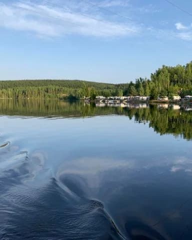 Upptäck lugnet vid Silverhöjdens Camping, Bergslagens oas vid Södra Hörken. Äventyr, natur & kulinariska höjdpunkter väntar!