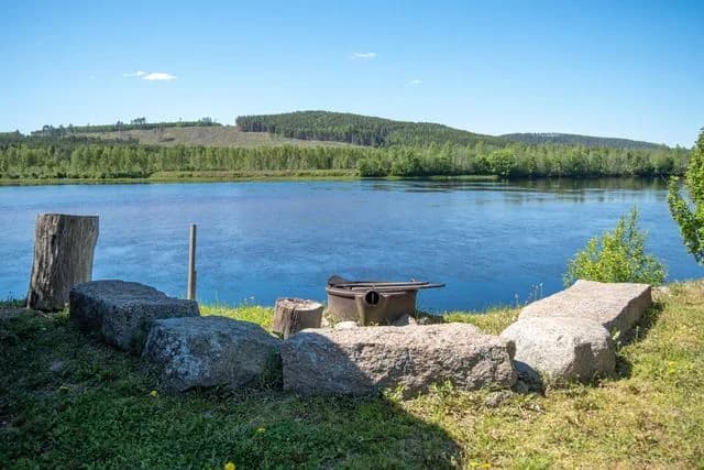 Oas vid Klarälven: Hästar, vandring och avkoppling i Värmlands natur. Upptäck magin på Sun Dance Ranch!