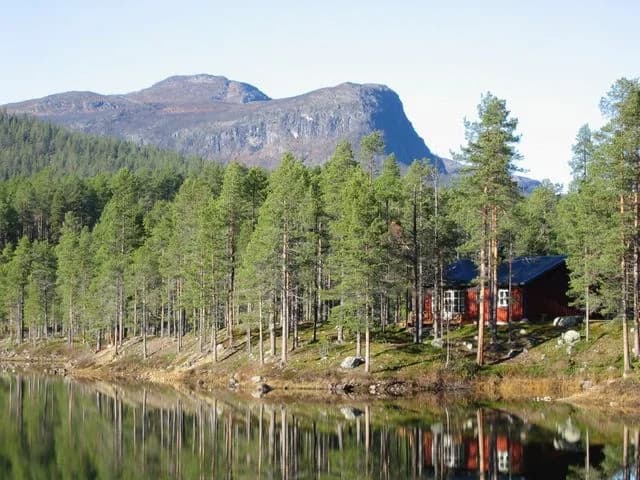 Upplev magin i Årrenjarka Fjällby: ett paradis av stillhet, äventyr och samisk kultur under norrsken och midnattssol.