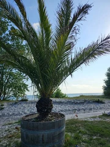 Upplev havsnära äventyr och avkoppling vid Dalabadets camping i Trelleborg – en perfekt oas för alla campingälskare.