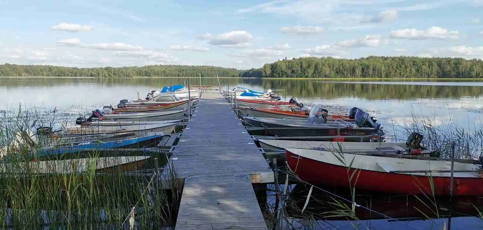 Din oas av avkoppling i svensk natur – upplev lugnet vid Österby camping i hjärtat av Näshulta! 🌿✨